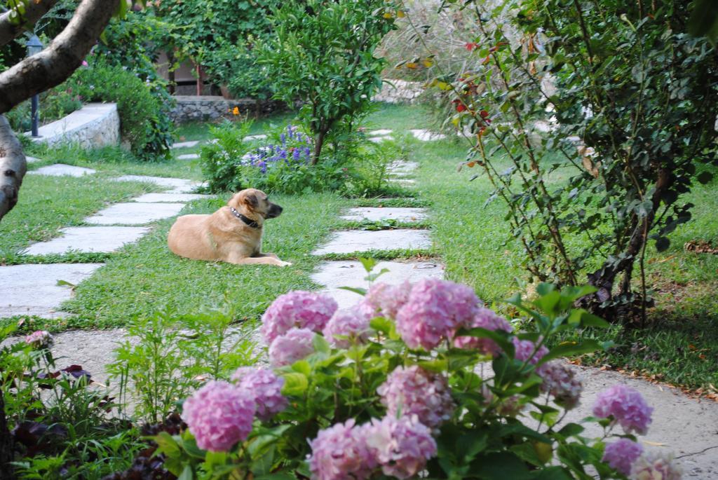 Kleo Cottages Kalkan Chambre photo