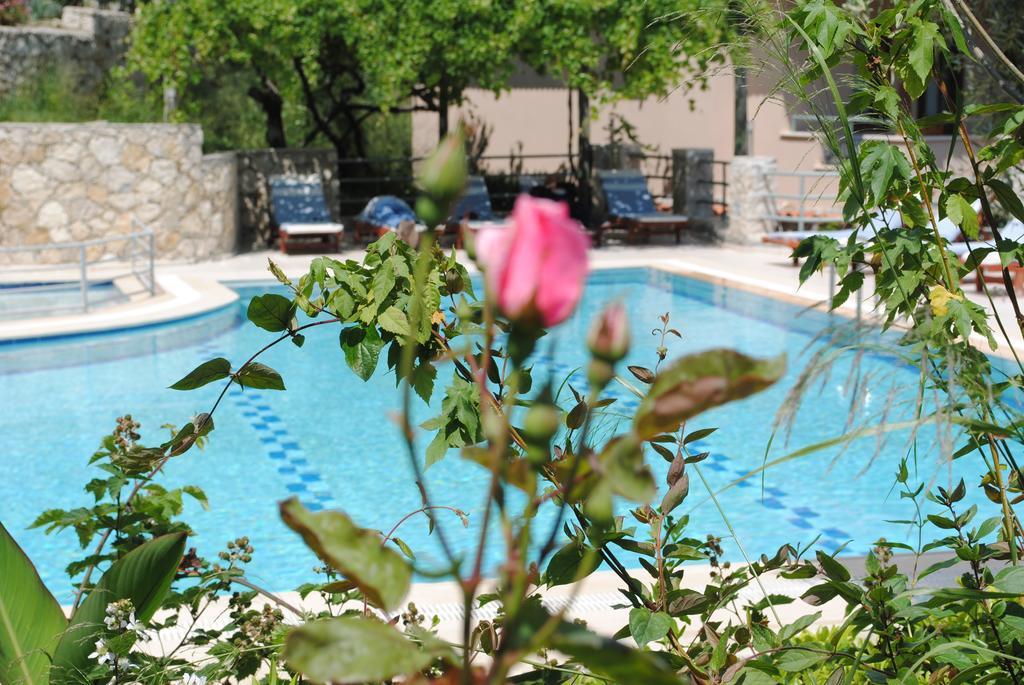 Kleo Cottages Kalkan Chambre photo
