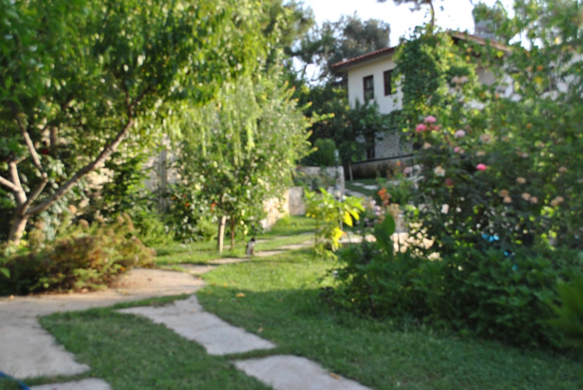 Kleo Cottages Kalkan Extérieur photo