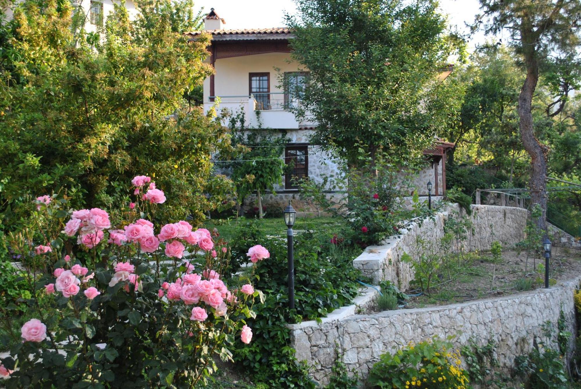 Kleo Cottages Kalkan Extérieur photo