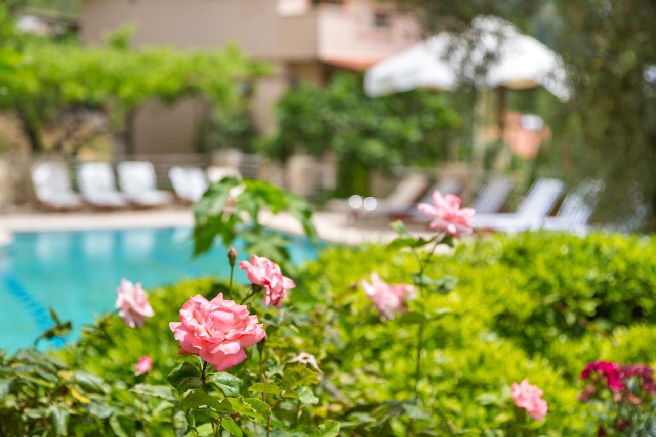 Kleo Cottages Kalkan Extérieur photo